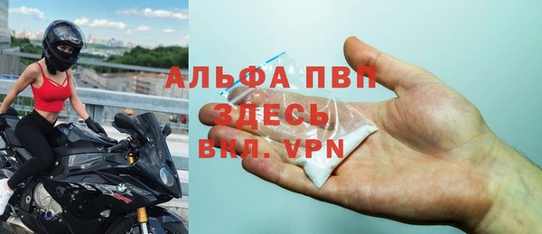 сатива Новый Уренгой