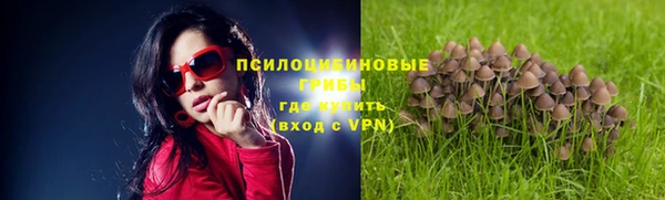 МДПВ Протвино