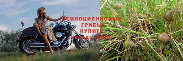 кокс Покачи