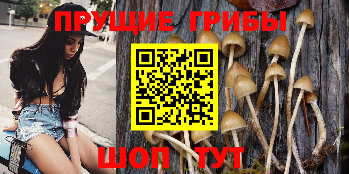 Галлюциногенные грибы MAGIC MUSHROOMS Тара