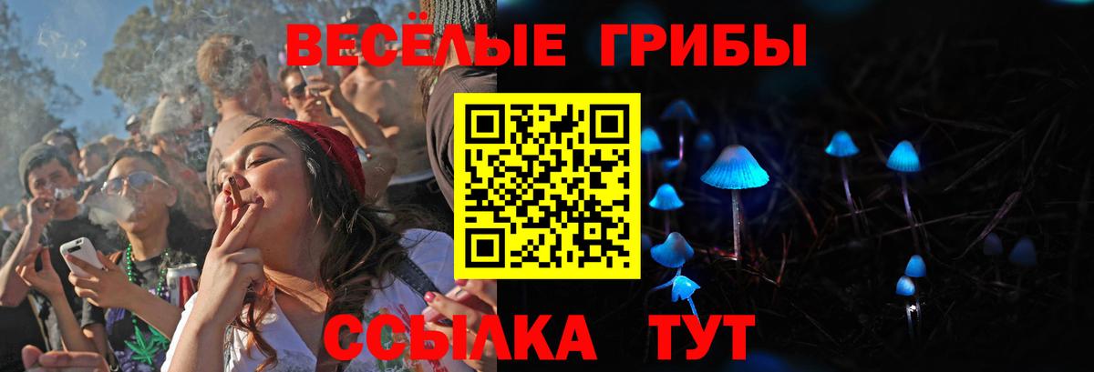 Тара  Псилоцибиновые грибы Psilocybine cubensis  Псилоцибиновые грибы ЛСД  Вход с VPN 